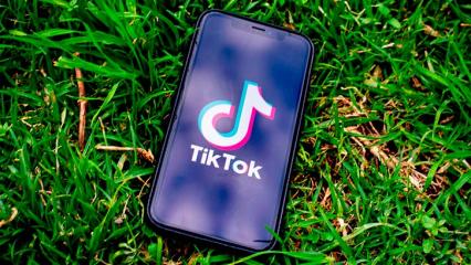 В Татарстане для борьбы с коррупцией предложили использовать TikTok - НТР 24