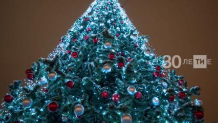 Жители Татарстана стали реже покупать живые ёлки на Новый год