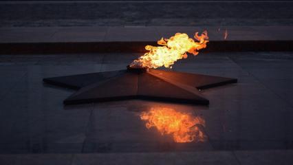 Российские школьники устроили фейерверк на Вечном огне