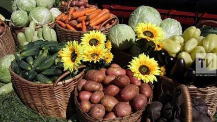 Треть городских жителей Татарстана ежемесячно покупают фермерскую продукцию - НТР 24