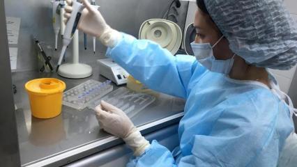 Специалист нижнекамской лаборатории рассказала, как делаются анализы на коронавирус
