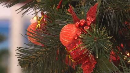 В Нижнекамске рассказали, как горожане могут провести досуг в праздники - НТР 24