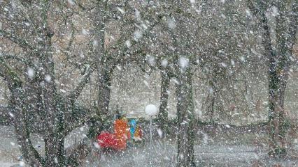 В Татарстане прогнозируют метель на выходных - НТР 24