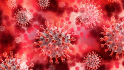 Стало известно, сколько сохраняется иммунитет после коронавируса