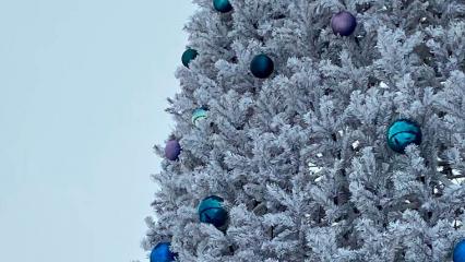 Сегодня в Нижнекамске состоится открытие елочного городка - НТР 24