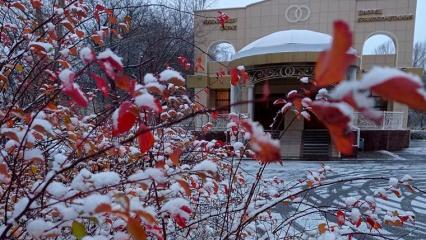 График работы в праздничные дни опубликовало нижнекамское управление ЗАГС - НТР 24