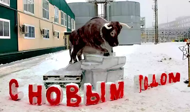 На одном из предприятий Нижнекамска создали огромную фигуру быка из снега
