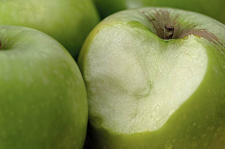 Нижнекамская школа расторгнет договор с поставщиком из-за испорченного яблока
