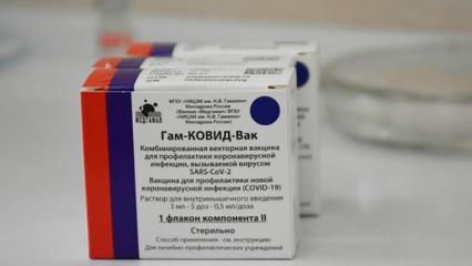 Минздрав Татарстана призвал жителей республики задуматься о вакцинации против Covid-19