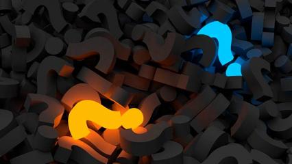 В Нижнекамске ищут владельца странной находки - НТР 24