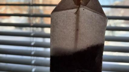 Названы восемь причин, из-за которых стоит прекратить заваривать чай в пакетиках - НТР 24