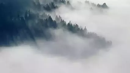 Синоптики спрогнозировали туман в Татарстане - НТР 24