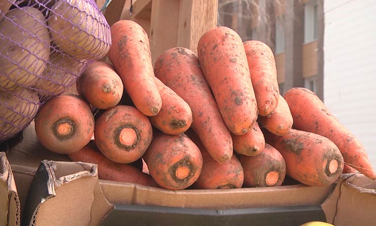 Специалисты объяснили, почему в России картошка и морковь подорожали более чем на 30%