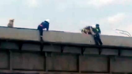 В Татарстане молодому человеку не дали совершить прыжок с моста - НТР 24