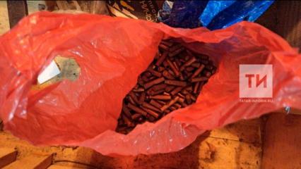 В Татарстане у мужчины обнаружили боевые патроны и семь туш кабанов - НТР 24