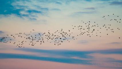 Татарстанские синоптики ответили на претензии к своим прогнозам - НТР 24