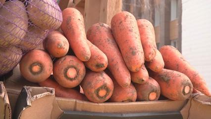 Специалисты объяснили, почему в России картошка и морковь подорожали более чем на 30% - НТР 24