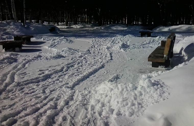 Нижнекамцы возмутились занесенным снегом городским парком