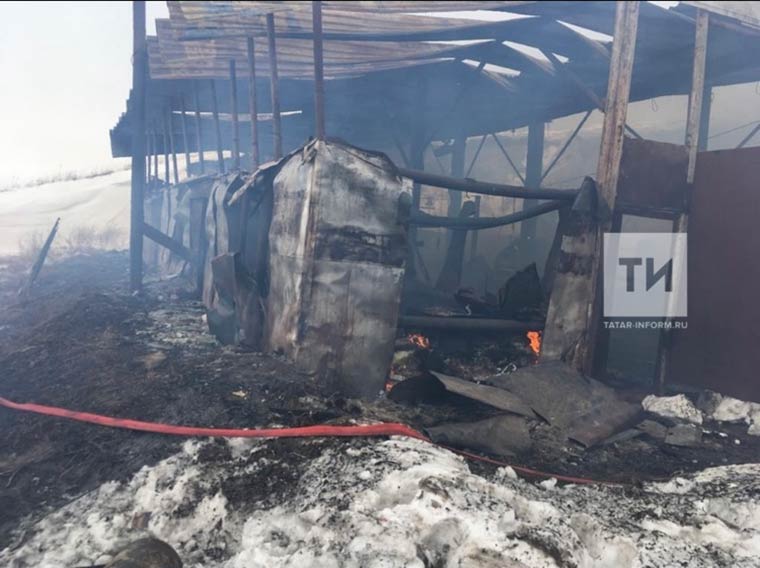 В Татарстане сгорел частный склад пиломатериалов, найдено обгоревшее тело