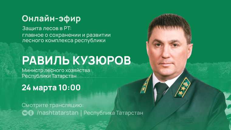 Глава Минлесхоза Татарстана расскажет о защите лесов и цифровизации лесного комплекса
