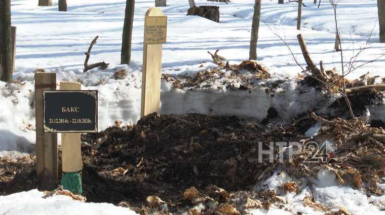В приюте «Хвостики» под Нижнекамском установили мемориал в память о погибших животных