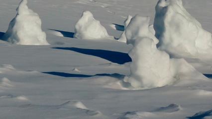 Тело пациента реанимации было найдено в овраге завёрнутым в одеяло - НТР 24