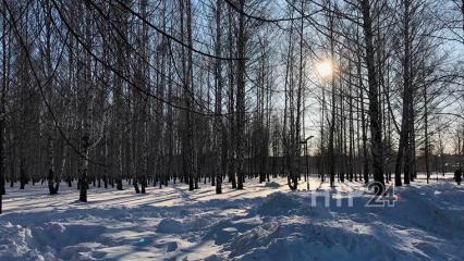 Гидрометцентр Татарстана сообщает о тумане и резком похолодании - НТР 24