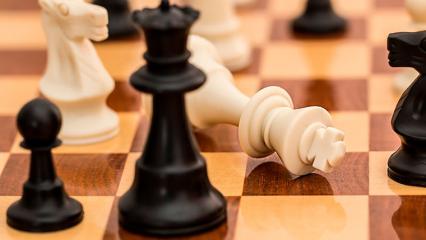 В 11 школах Нижнекамского района организуют шахматные зоны