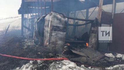 В Татарстане сгорел частный склад пиломатериалов, найдено обгоревшее тело - НТР 24