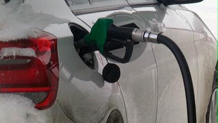 Эксперты предупредили о возможном подорожании бензина на 14% - НТР 24