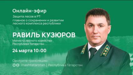 Глава Минлесхоза Татарстана расскажет о защите лесов и цифровизации лесного комплекса