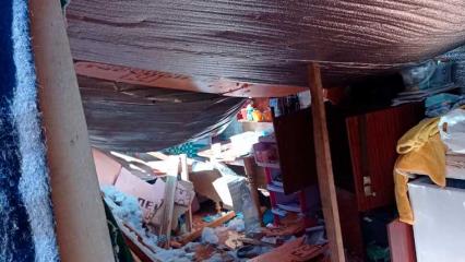 В приюте для бездомных животных под Нижнекамском обрушилась крыша - НТР 24