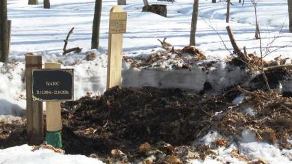 В приюте «Хвостики» под Нижнекамском установили мемориал в память о погибших животных