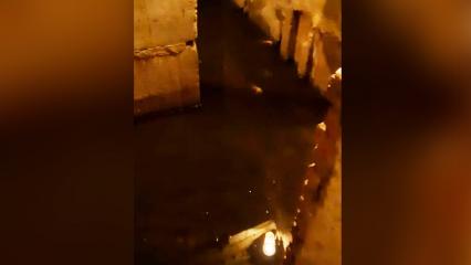 Нижнекамка рассказала о «трупах котят и крыс» в затопленном подвале дома