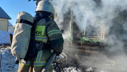 В Татарстане во время пожара погибли 18 свиней