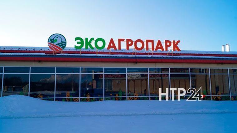 Самозанятым в Нижнекамске предоставят бесплатные торговые места в новом «ЭкоАгроПарке»
