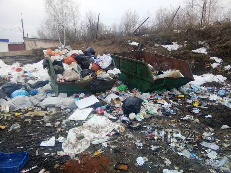 Дачники СНТ «Садовод-НК» жалуются на мусор и мертвых собак в кооперативе