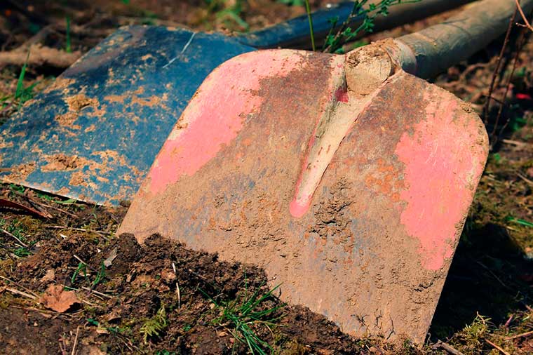 В Татарстане пенсионер зарезал друга и закопал труп на огороде, где выращивал мак