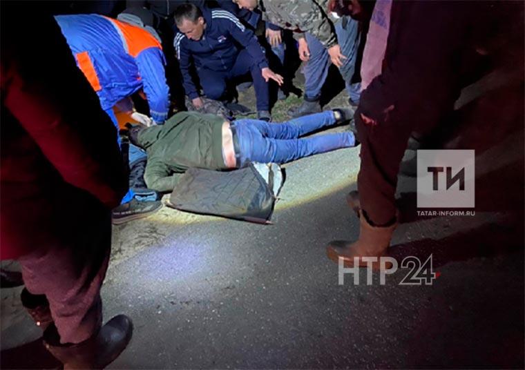 На трассе в Татарстане парень на мотоцикле сбил насмерть лося, а сам попал в реанимацию