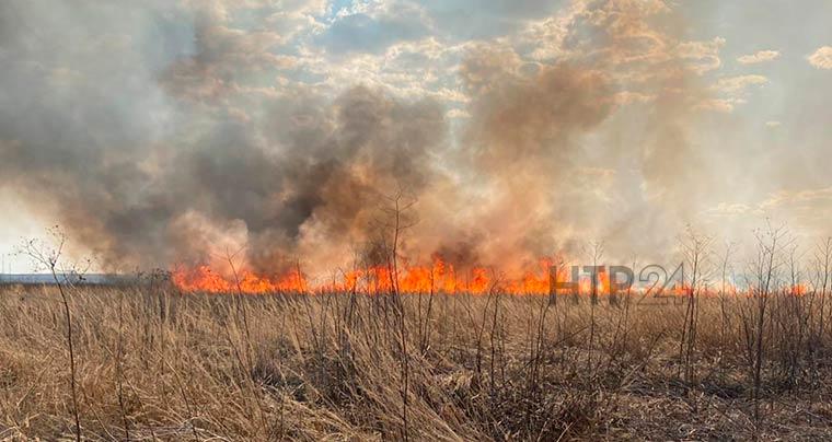 Рядом с Нижнекамском горит поле, столб дыма виден за много километров