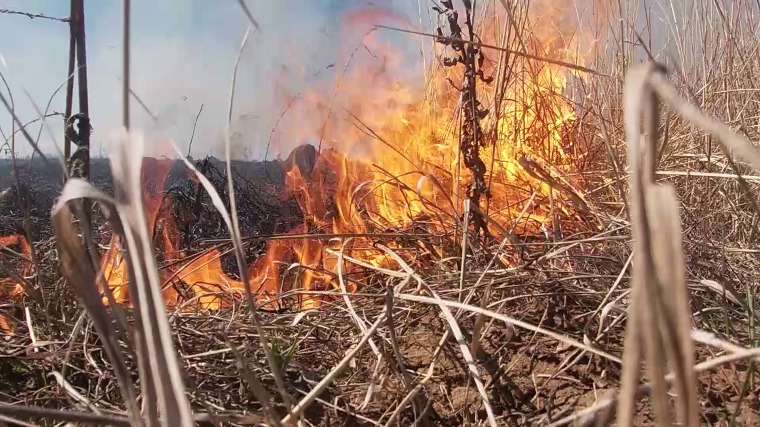 В нескольких сёлах Нижнекамского района горели поля