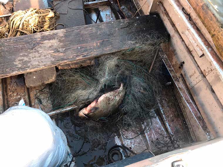 Четверым нижнекамцам грозят уголовные дела за незаконную рыбную ловлю