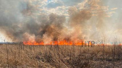 Рядом с Нижнекамском горит поле, столб дыма виден за много километров