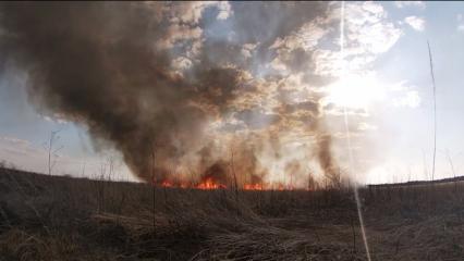 Пожар на поле под Нижнекамском мог начаться из-за непотушенного костра