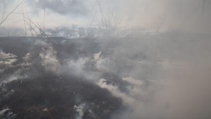 В Нижнекамске рядом с жилыми домами горит поле