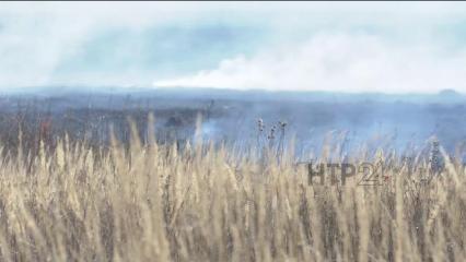 В Татарстане с начала 2021 года зафиксировано 375 случаев горения травы и мусора