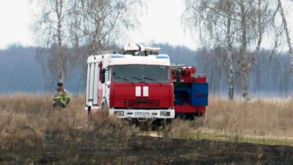 Причиной пожара около Корабельной рощи в Нижнекамске мог стать поджог