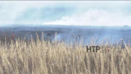 В Татарстане оштрафовали поджигающих сухую траву