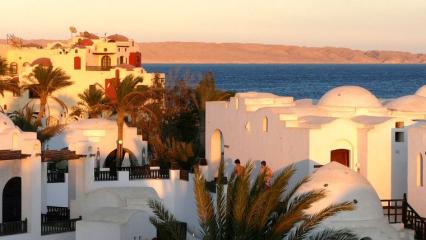 Туроператоры озвучили примерную стоимость туров в Египет - НТР 24