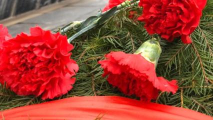 В Казани мероприятия, посвященные ко Дню Победы, пройдут на площади Тысячелетия - НТР 24